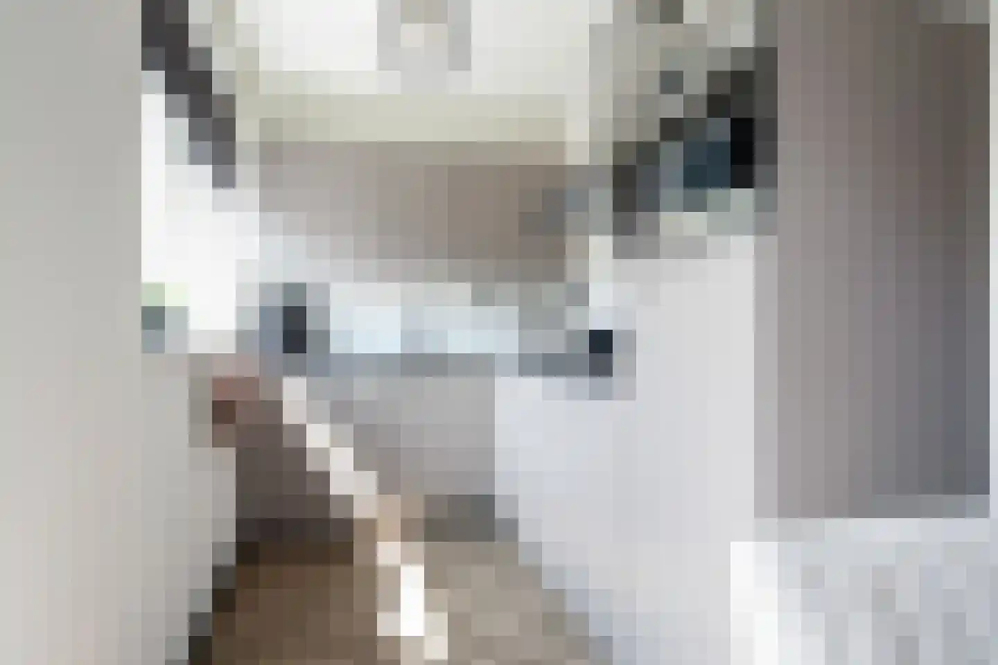 Spankerstraat 6 Lisse thumbnail 4