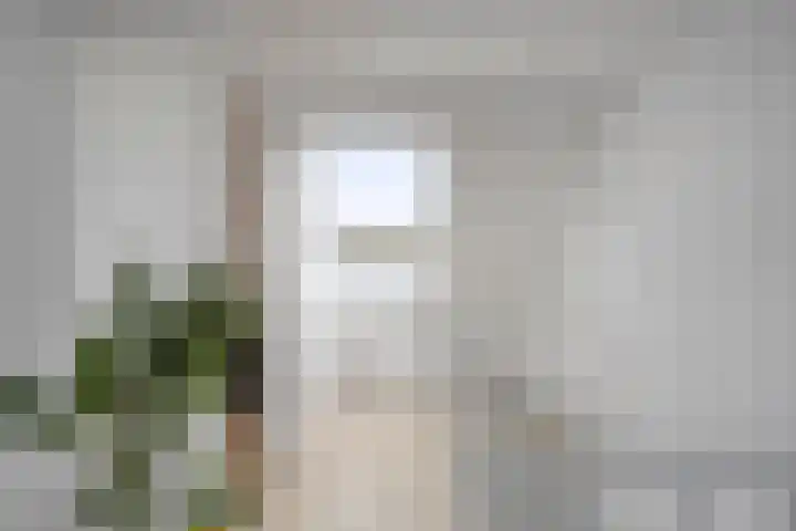Spannenburg 71 Hoofddorp thumbnail 24