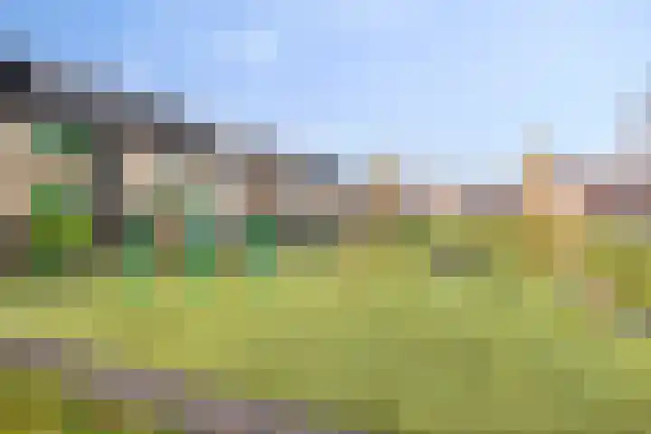 Spannenburg 71 Hoofddorp thumbnail 31