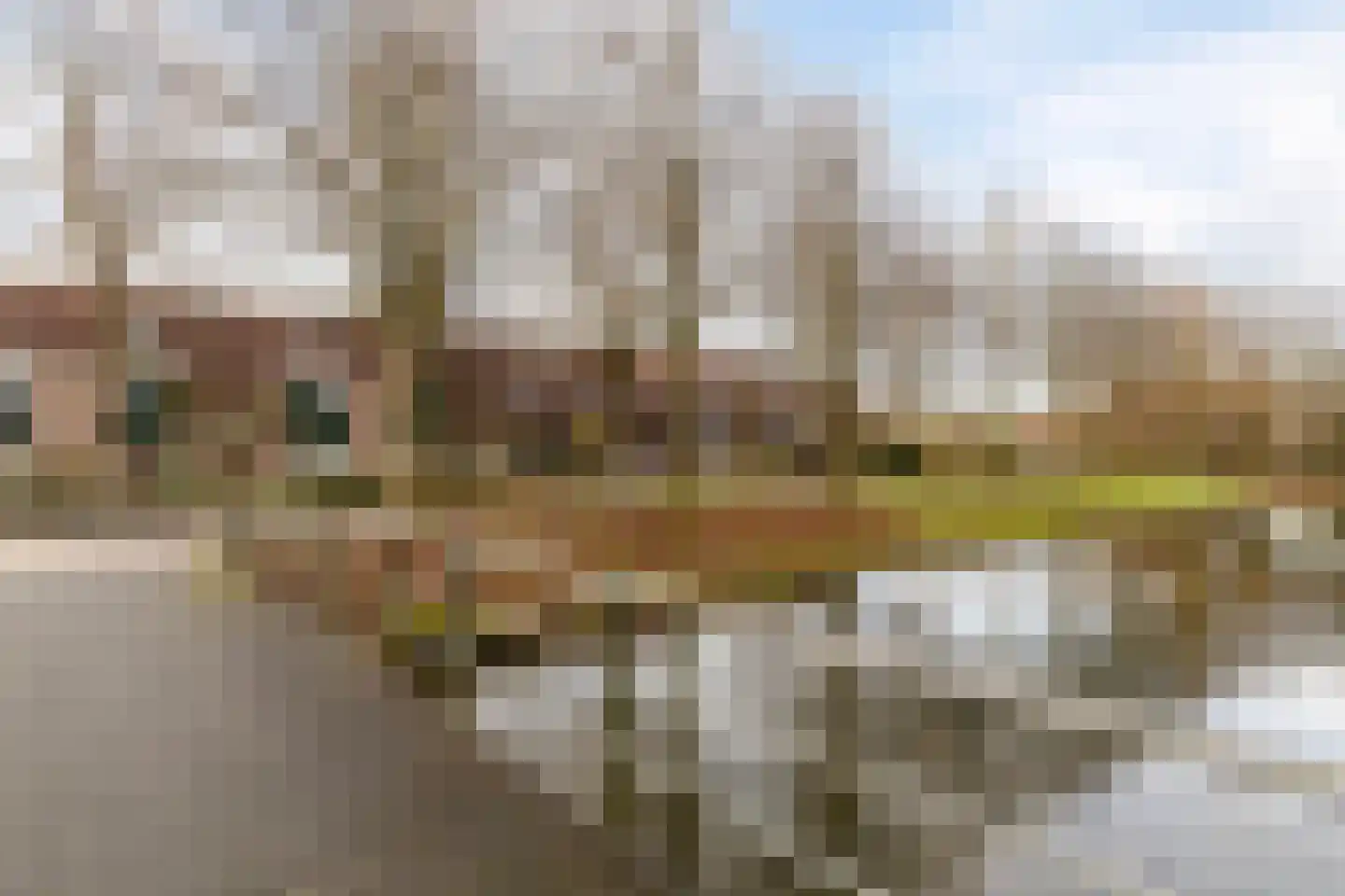 Spant 125 Hoorn thumbnail 22