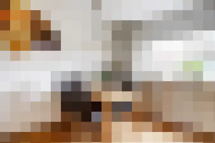Spant 2 Hoorn thumbnail 12