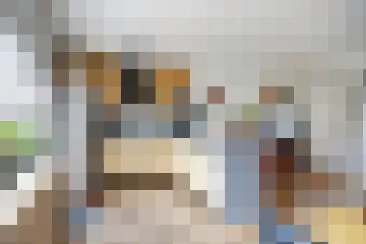 Spant 2 Hoorn thumbnail 13