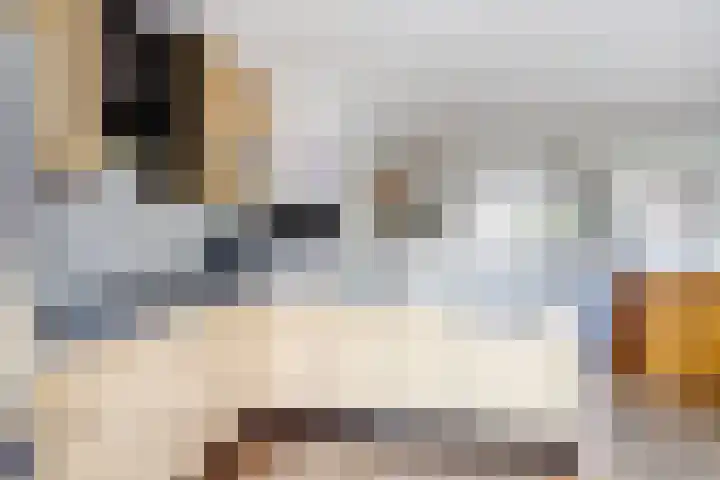 Spant 2 Hoorn thumbnail 14