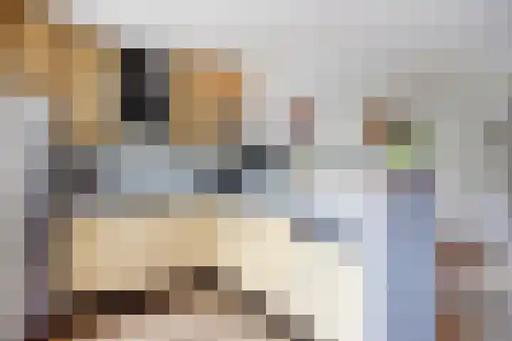 Spant 2 Hoorn thumbnail 15