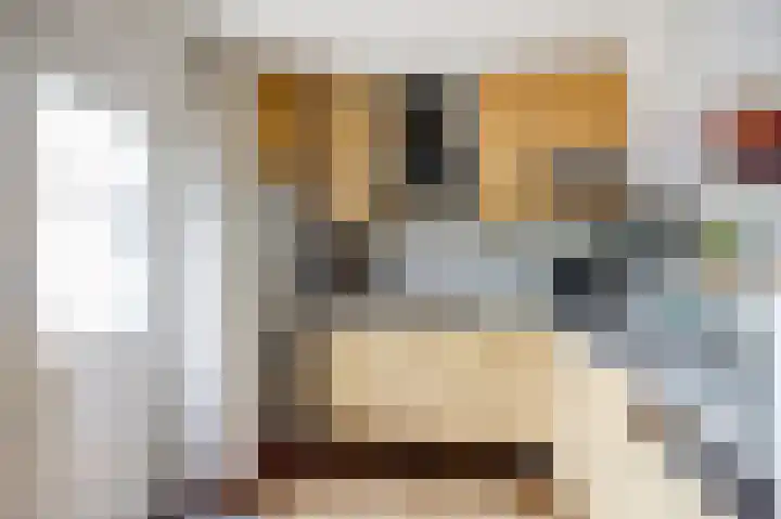 Spant 2 Hoorn thumbnail 16