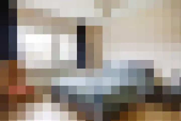 Spant 2 Hoorn thumbnail 18