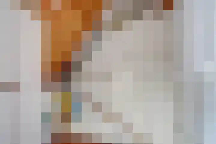 Spant 2 Hoorn thumbnail 24