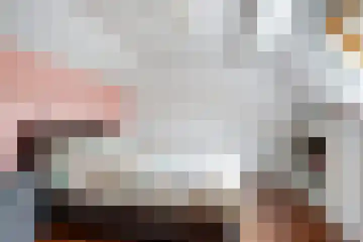 Spant 2 Hoorn thumbnail 27