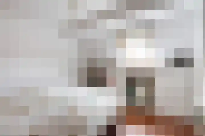 Spant 2 Hoorn thumbnail 28