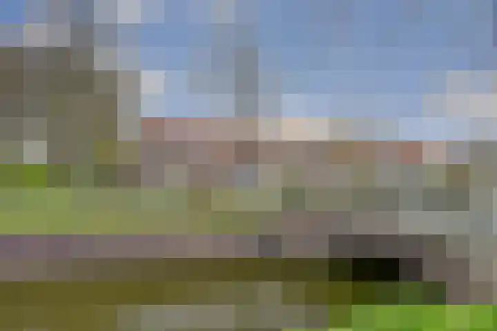 Spant 2 Hoorn thumbnail 34