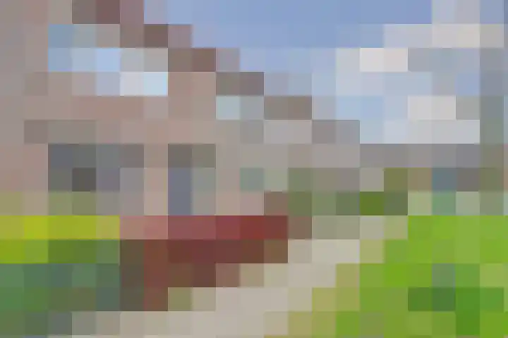 Spant 2 Hoorn thumbnail 38