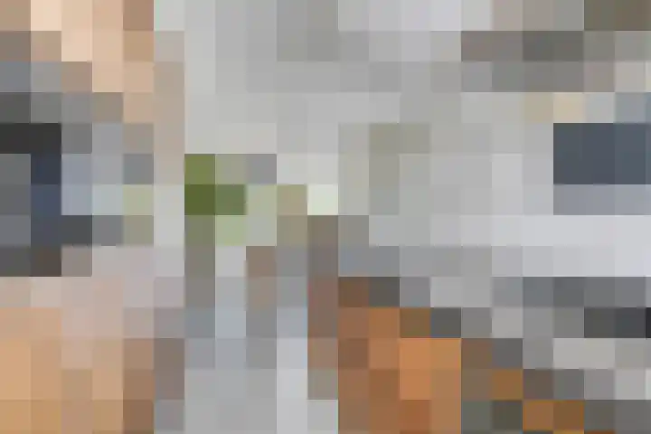 Spant 24 Assendelft thumbnail 10