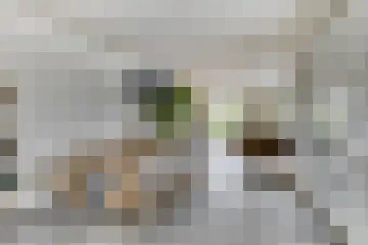 Spant 24 Assendelft thumbnail 11