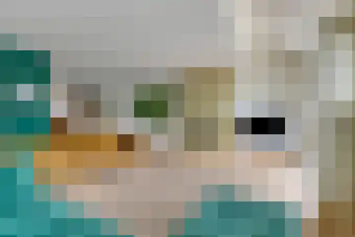 Spant 24 Assendelft thumbnail 13