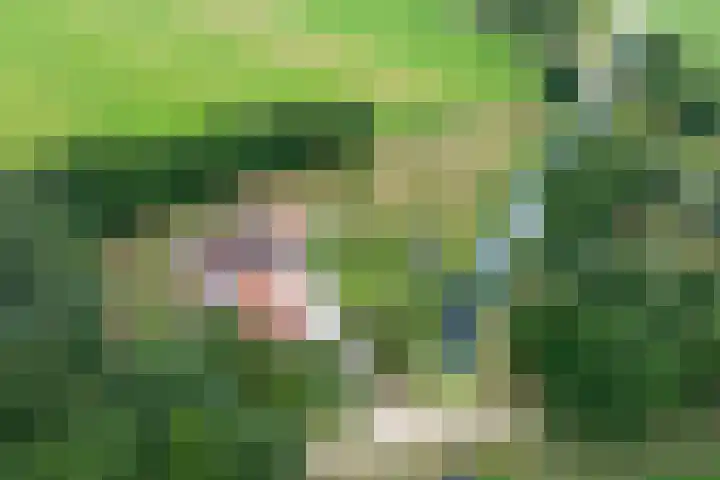 Spant 24 Assendelft thumbnail 16