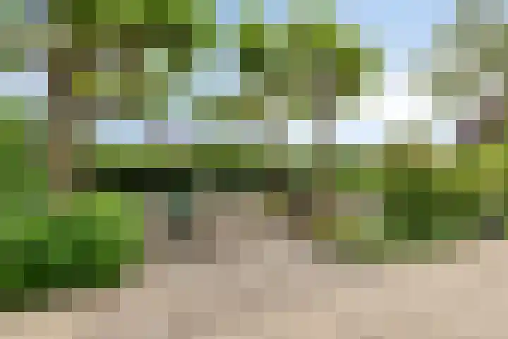 Spant 24 Assendelft thumbnail 17