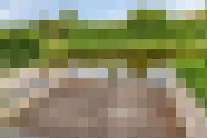 Spant 24 Assendelft thumbnail 19