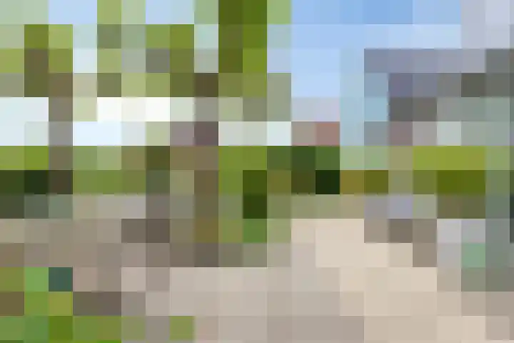 Spant 24 Assendelft thumbnail 20