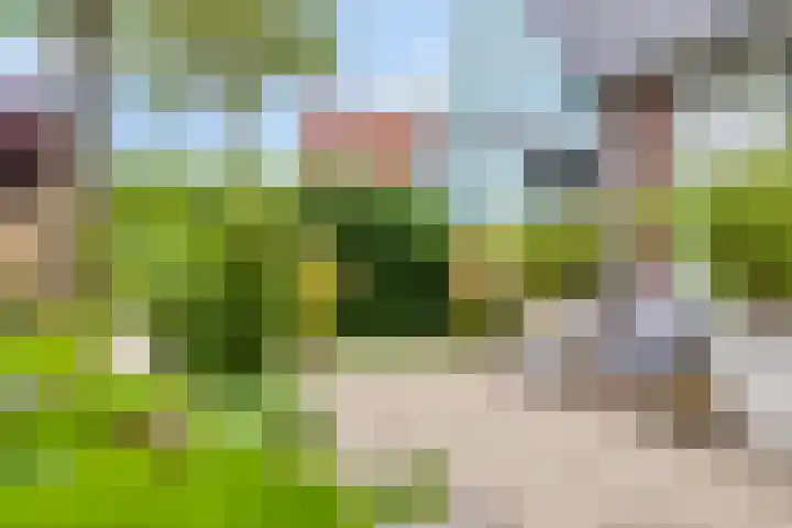 Spant 24 Assendelft thumbnail 21