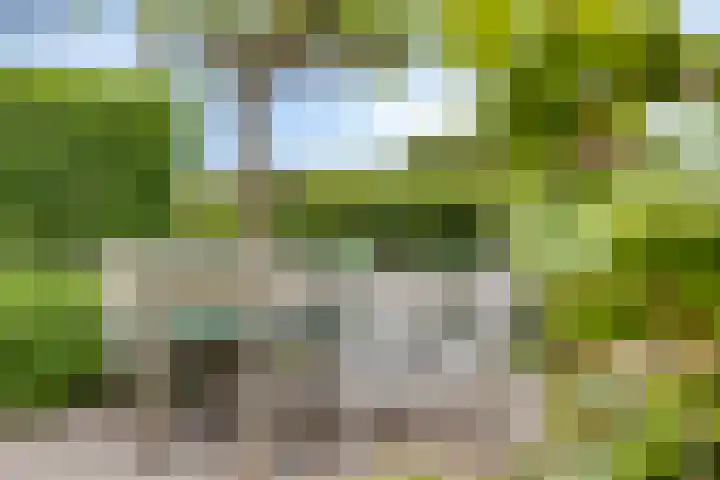Spant 24 Assendelft thumbnail 22