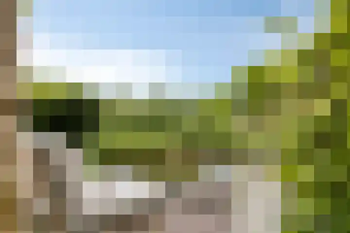 Spant 24 Assendelft thumbnail 23