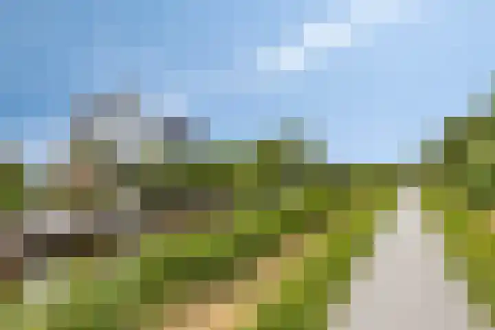 Spant 24 Assendelft thumbnail 24