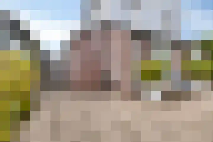 Spant 24 Assendelft thumbnail 25