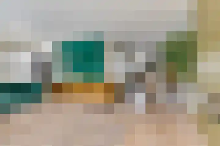 Spant 24 Assendelft foto 3