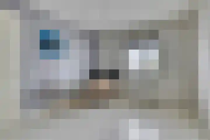 Spant 24 Assendelft thumbnail 32