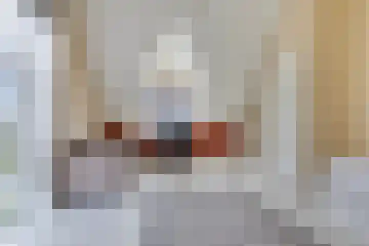 Spant 24 Assendelft thumbnail 34