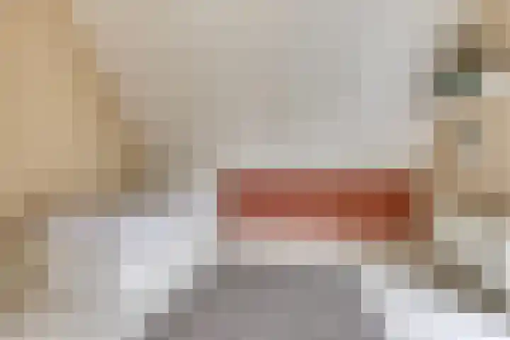 Spant 24 Assendelft thumbnail 35
