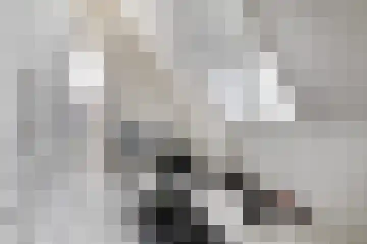 Spant 24 Assendelft thumbnail 36