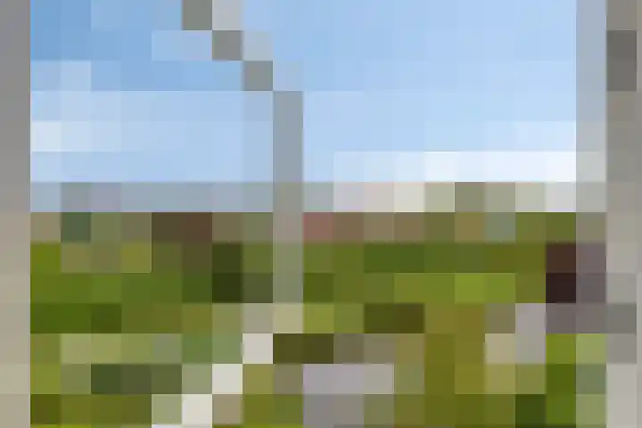 Spant 24 Assendelft thumbnail 37
