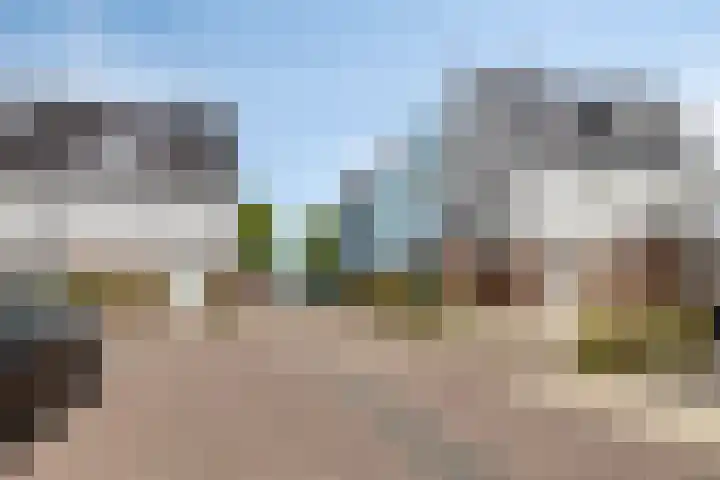 Spant 24 Assendelft thumbnail 39