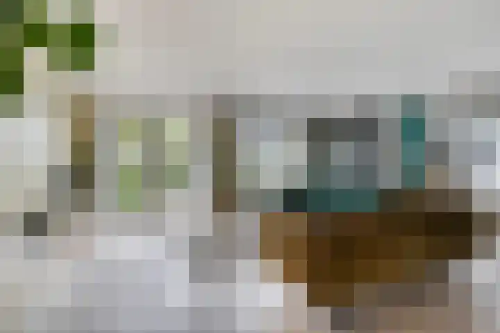 Spant 24 Assendelft thumbnail 4