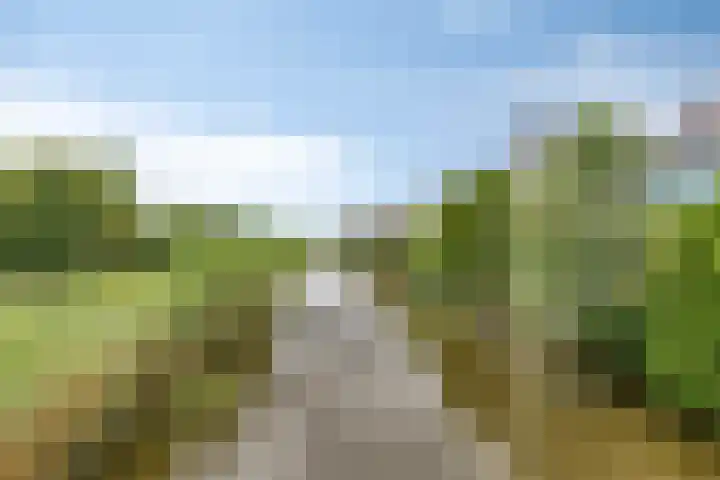 Spant 24 Assendelft thumbnail 43