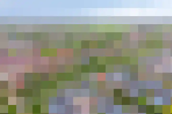 Spant 24 Assendelft thumbnail 44