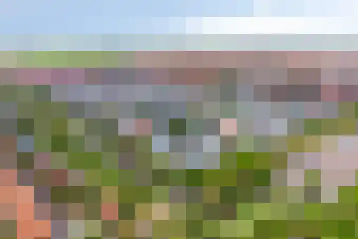 Spant 24 Assendelft thumbnail 45