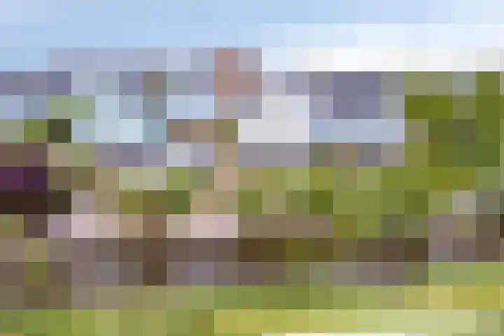 Spant 24 Assendelft thumbnail 47