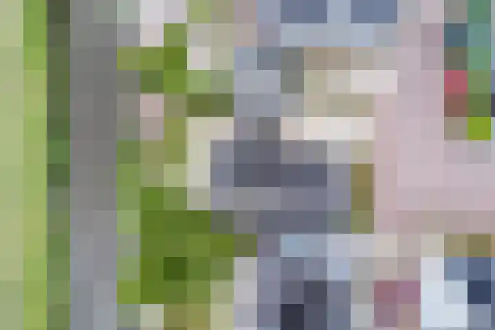 Spant 24 Assendelft thumbnail 49