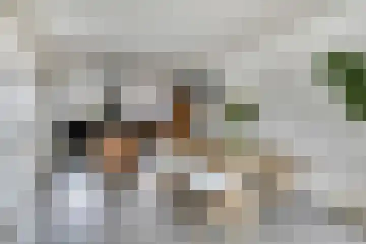 Spant 24 Assendelft thumbnail 5