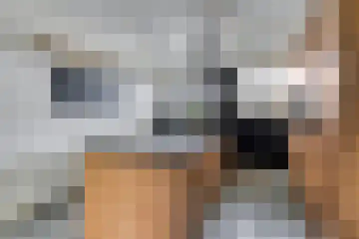 Spant 24 Assendelft thumbnail 7