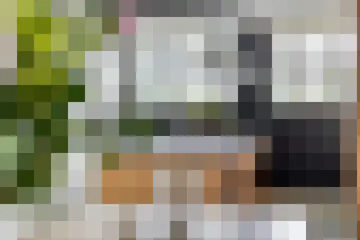 Spant 24 Assendelft thumbnail 8