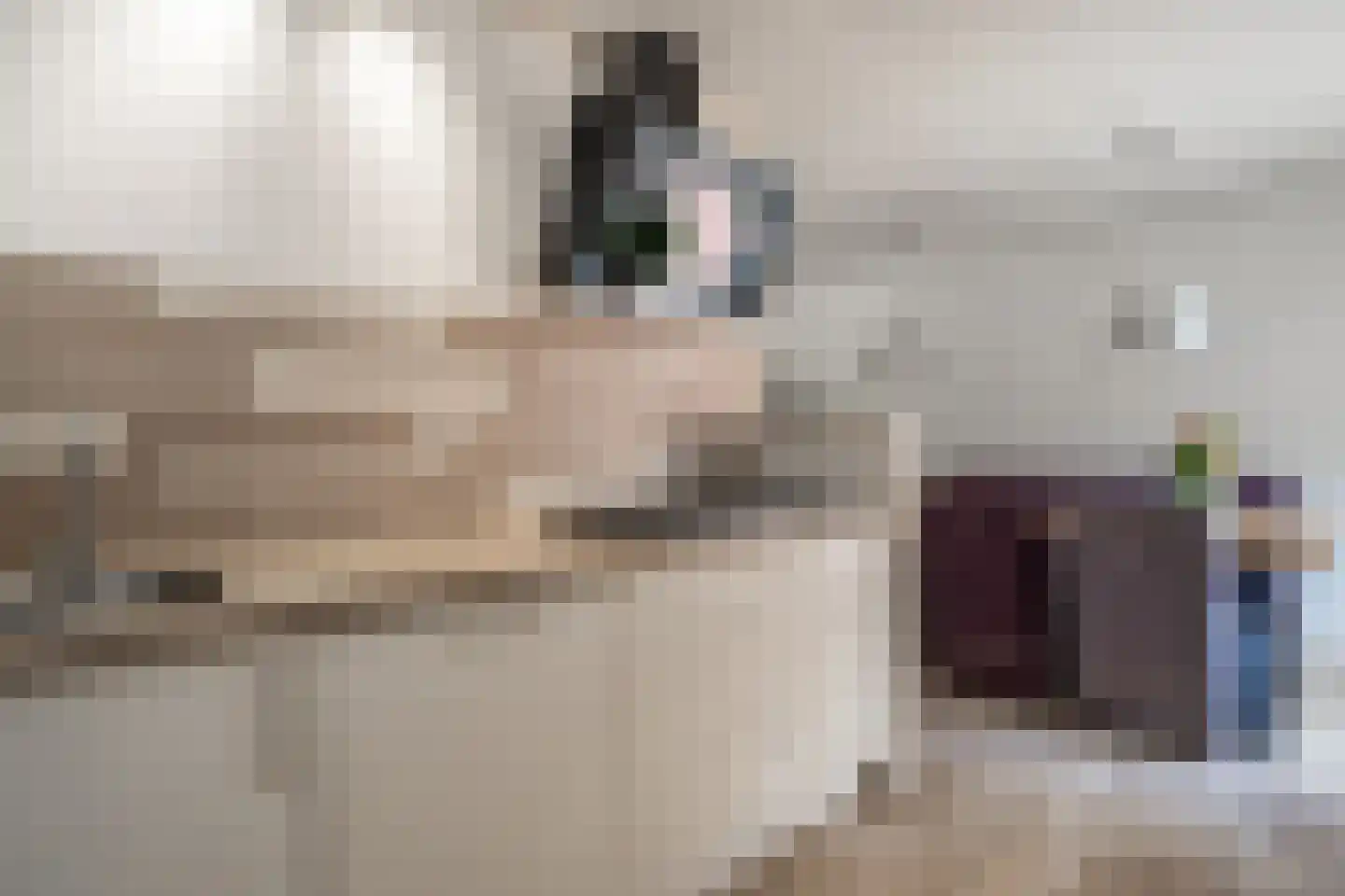 Spant 3 Stadskanaal thumbnail 14