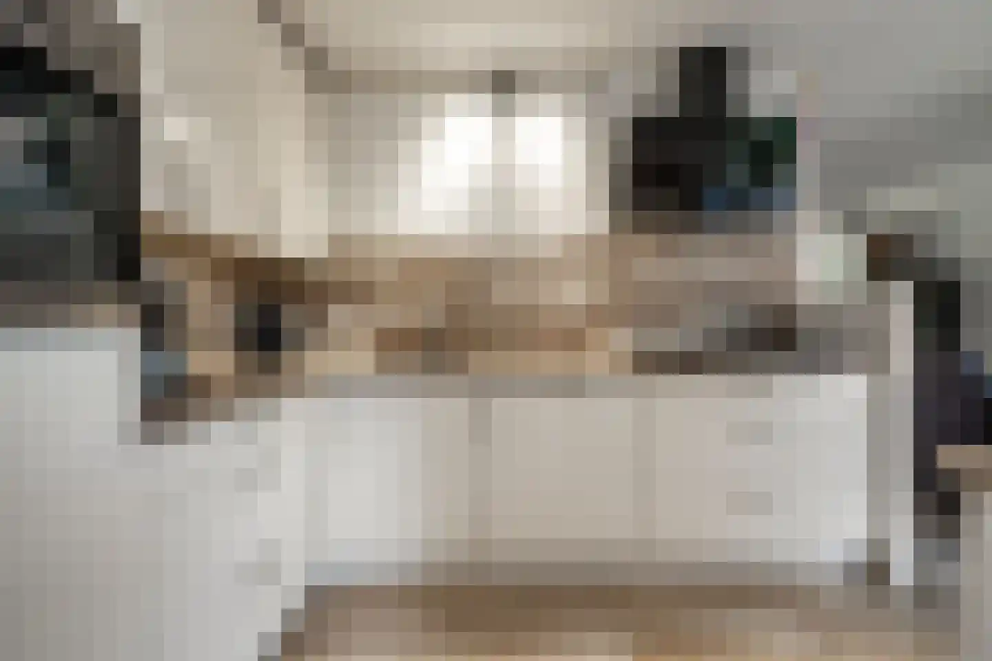 Spant 3 Stadskanaal thumbnail 15