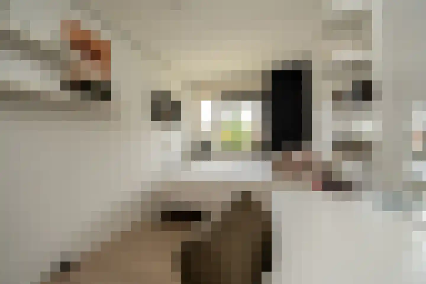 Spant 3 Stadskanaal thumbnail 26