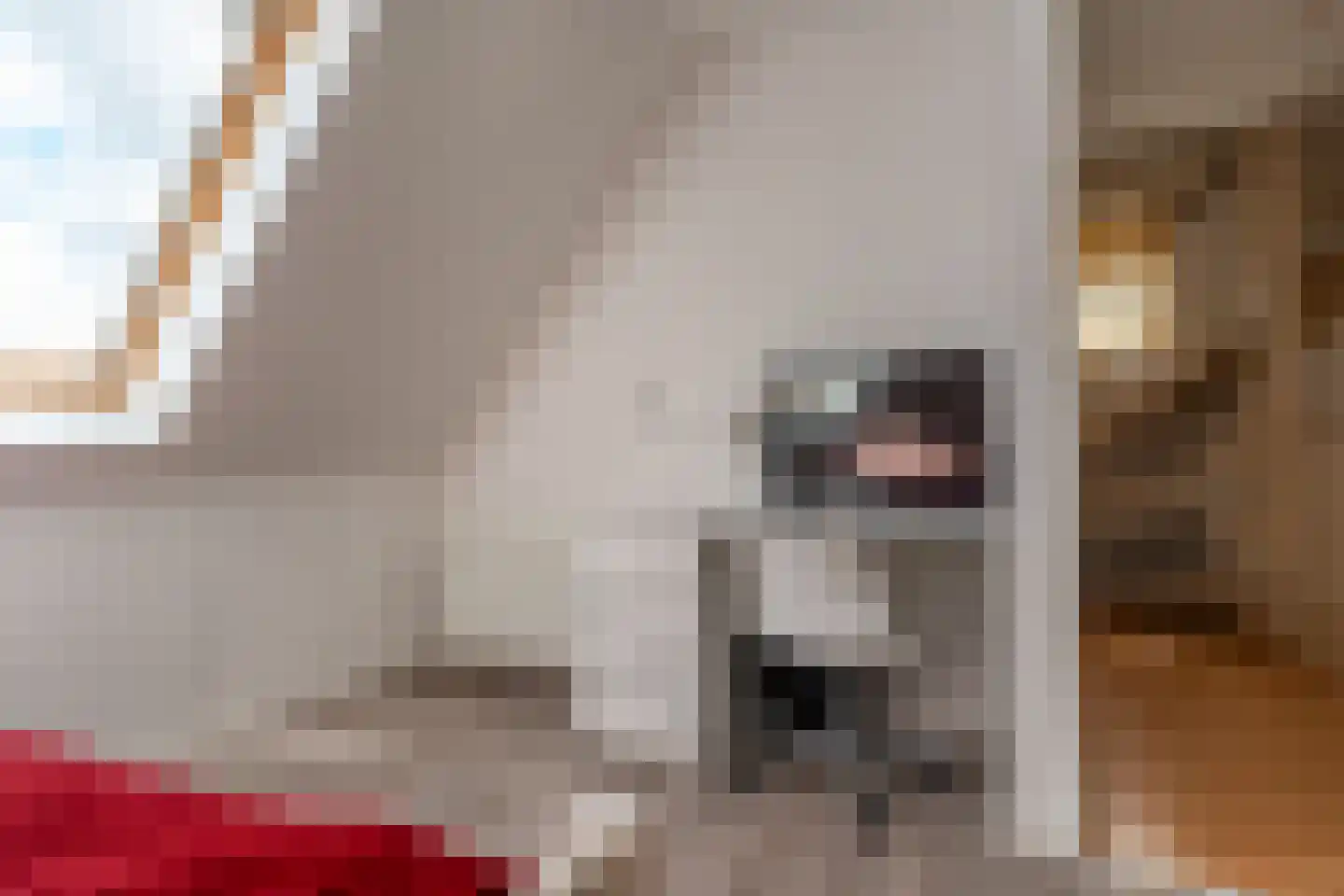 Spant 3 Stadskanaal thumbnail 31