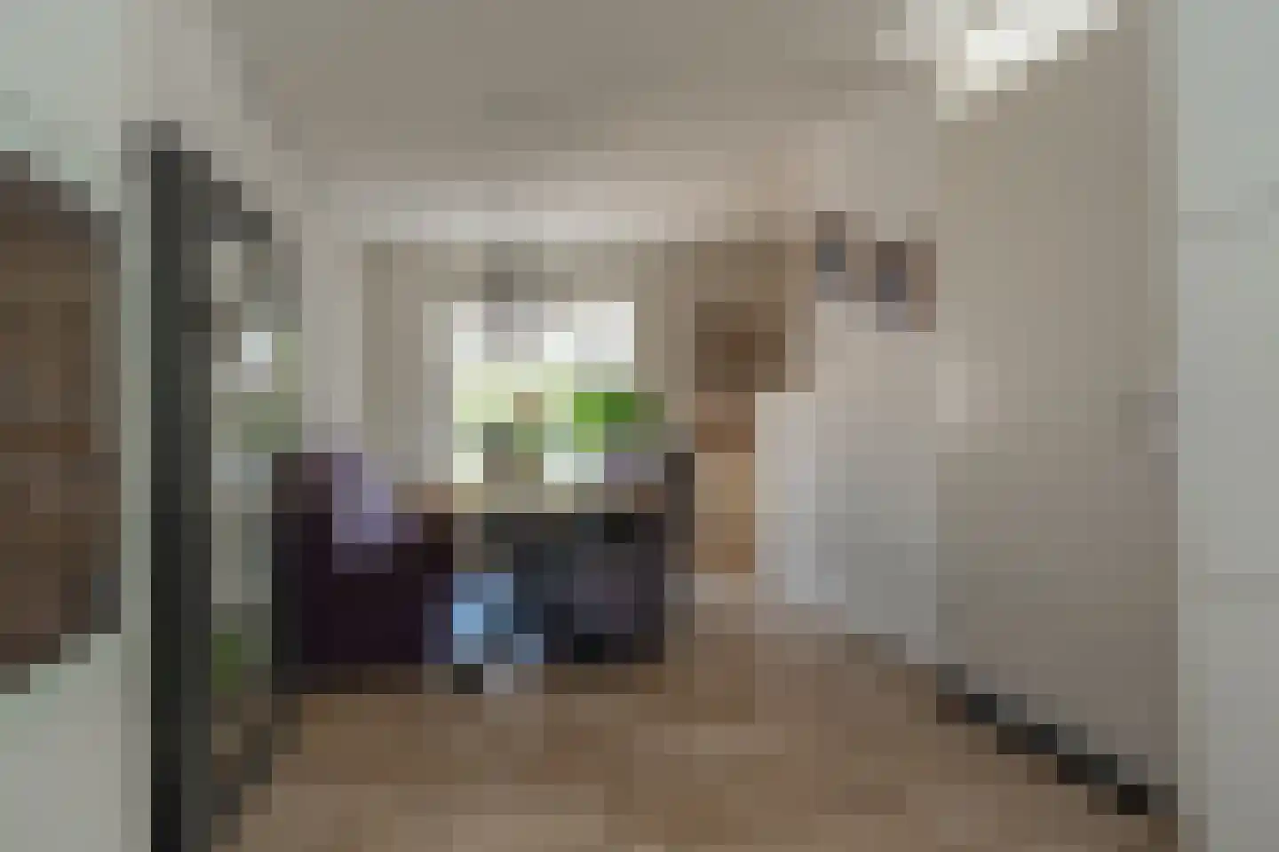 Spant 3 Stadskanaal thumbnail 8