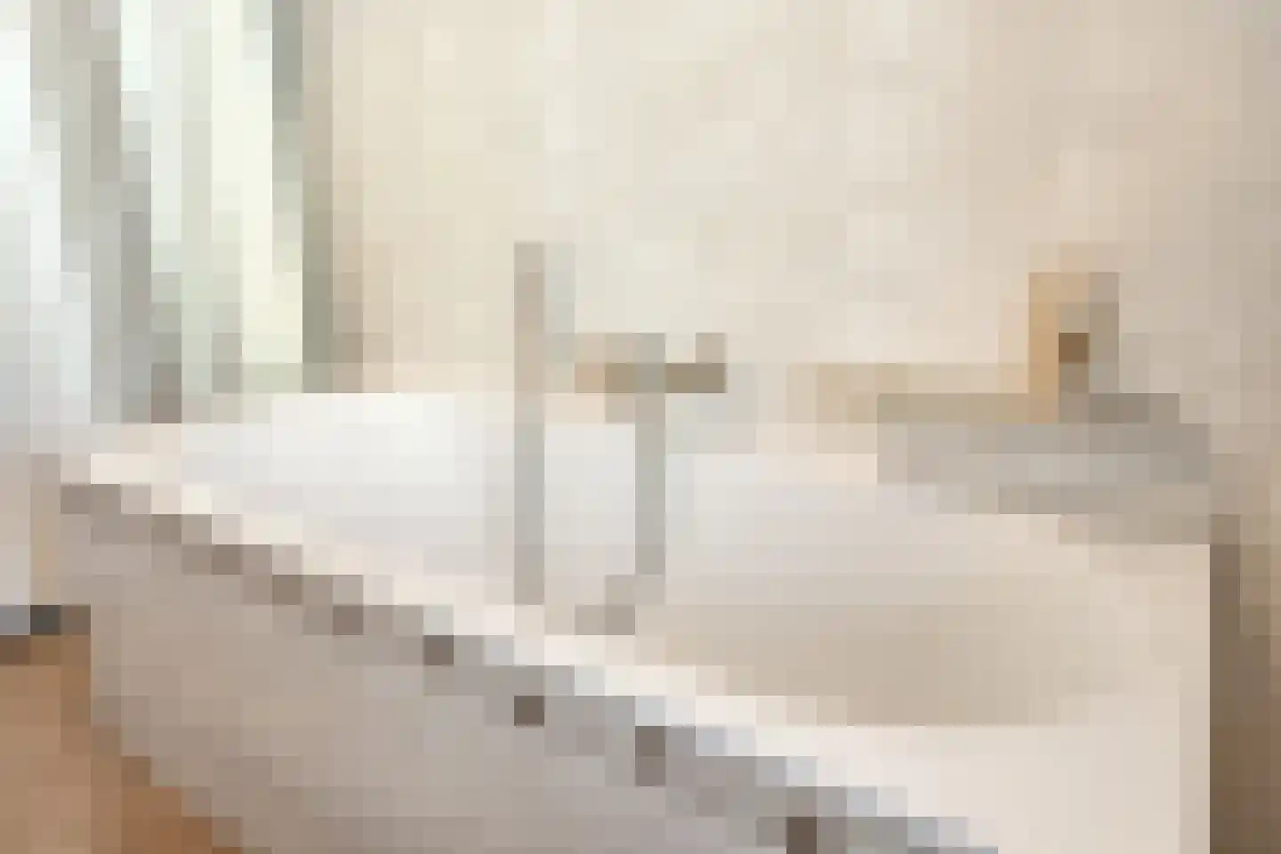 Spant 40 Assendelft thumbnail 26
