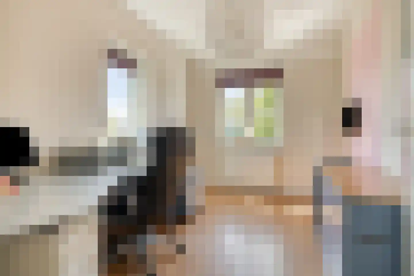Spant 40 Assendelft thumbnail 29